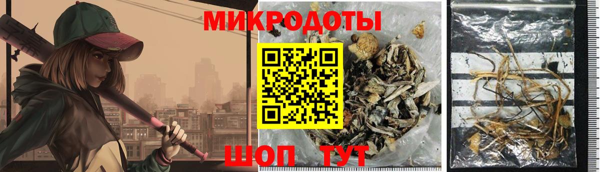 Псилоцибиновые грибы Psilocybe Луга