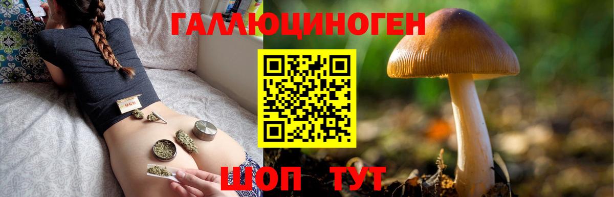 Псилоцибиновые грибы мухоморы  Вход с VPN  Луга 